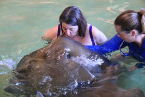 14352396_10154500860961703_2498815251032177339_o