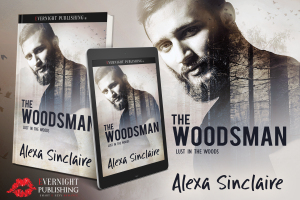 the-woodsman-evernightpublishing-sept2016-3drender-ereader