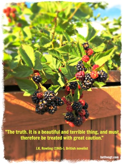 the-beautiful-terrible-truth