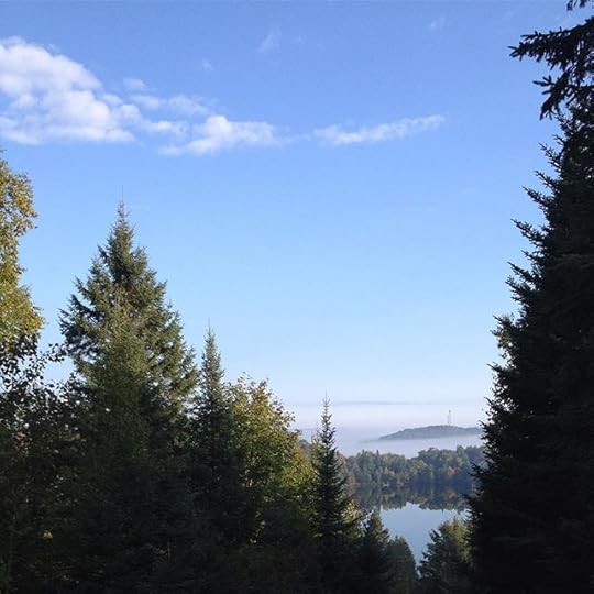Matin sans filtre #igerslaurentides #sky #forest
