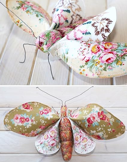 peach-blossom-moths