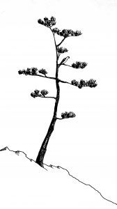 DSCN0507
