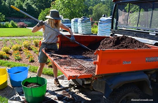 Emily Wilson Rosarian Mulching 3