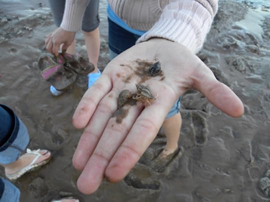 10 Reasons Family Vacations Rock: Kids learn about nature!