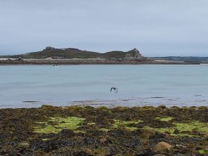 Samson, Tresco. S Mary's, and rocks between
