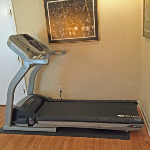 adopt-treadmill