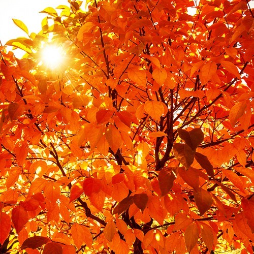 autumn equinox