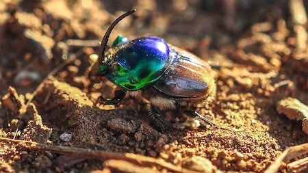 cc_dsc_0198_16x9
