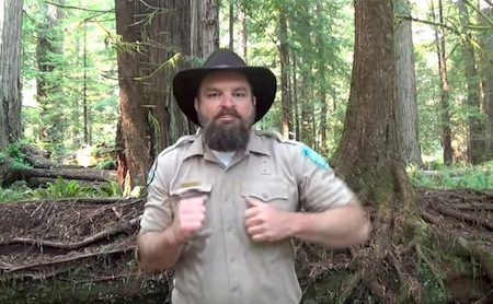 bioblitz