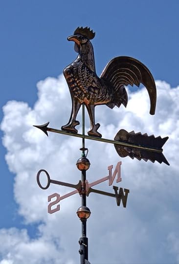 “Vane” vs. “Vein” vs. “Vain”