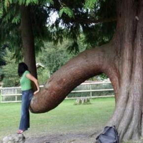  photo wellhung_zpskmfts6w2.jpg