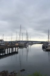 IMG_2793