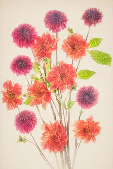 Autumn Bouquet © Harold Davis
