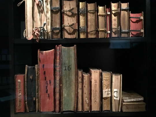 Oxford-12-Bodleian-2
