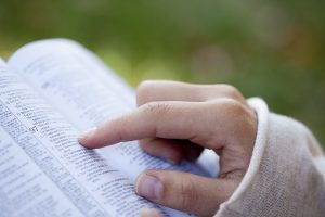 Marriage God's Way by Scott LaPierre - Follow the script