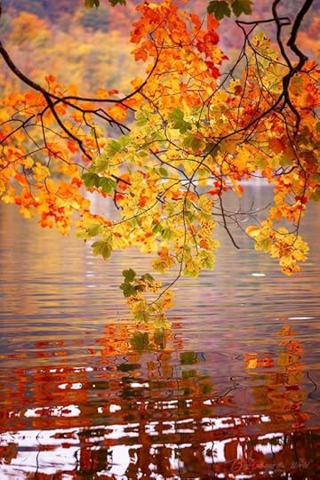 autumnal2