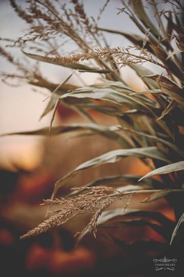 autumnal5