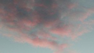 imag1329