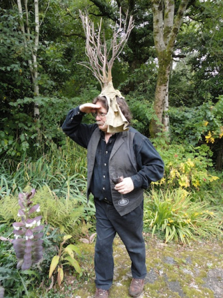 Brian, looking for fairies