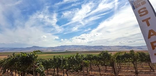 Sights from Sawtooth Winery