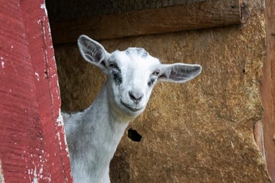 Sharon Springs NY<br />Beekman Farm <br />2016 Harvest Festival<br />www.katiesimmonsbarth.com