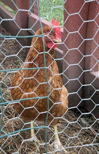 Sharon Springs NY<br />Beekman Farm <br />2016 Harvest Festival<br />www.katiesimmonsbarth.com