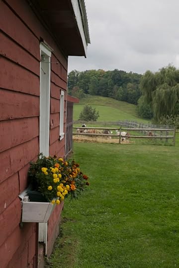 Sharon Springs NY<br />Beekman Farm <br />2016 Harvest Festival<br />www.katiesimmonsbarth.com