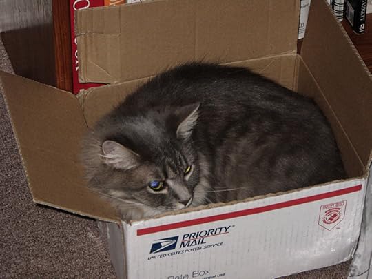 Mailed cat