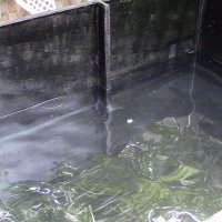 Water inside the completed cardboard pool
