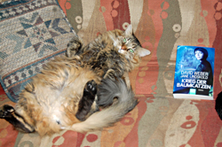 Kel with German edition of Treecat Wars