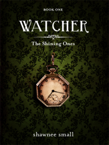 Watcher cover