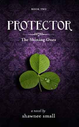protector_kindle_fb