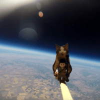 Screen Shot 2016-08-05 at 10.21.36 AM