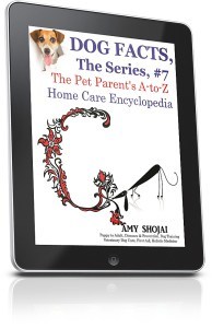 ipadverticalright_634x982-1