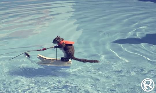 Twiggy, the waterskiiing squirrel at Ripley's