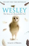 Wesley: The Story of a Remarkable Owl