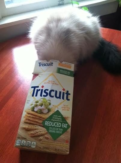 triscuit