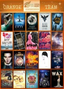 orange-team-yash-fall-2016