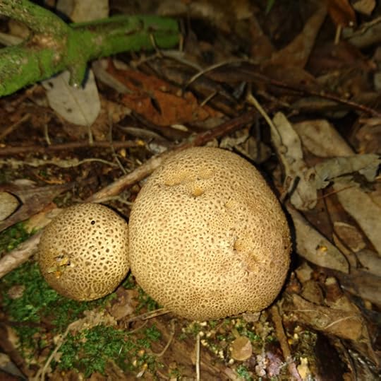 2016-09-01-12-17-12-2