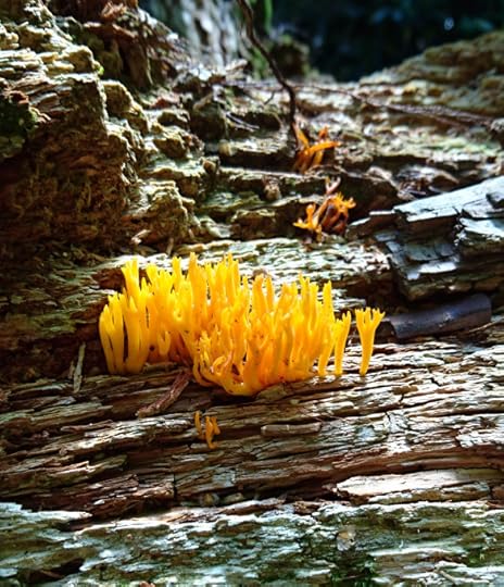 2016-09-01-12-11-11-2