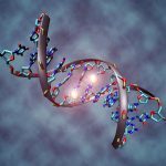 1280px-dna_methylation