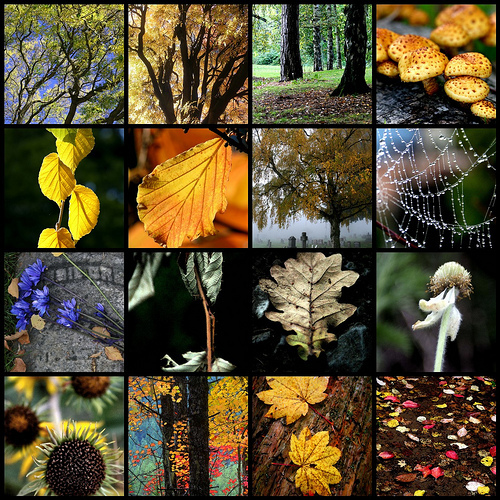9-25-2016-autumn-image
