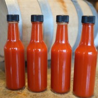 Photography by Dale Dougherty