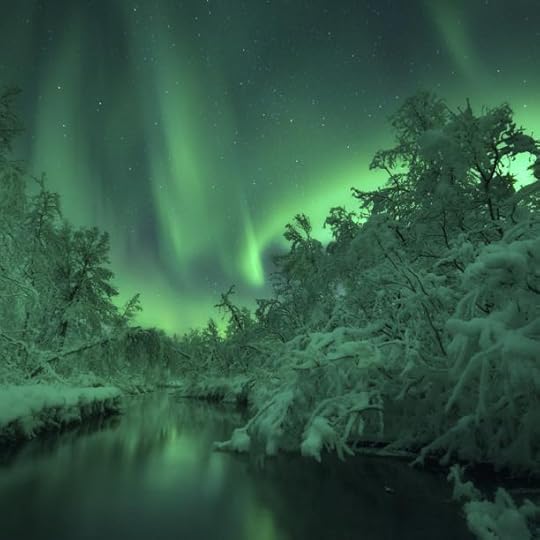 Sumo Waggle Adventrure by Arild Heitmann