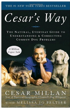 cesar