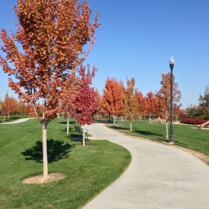 Autumn in the Park