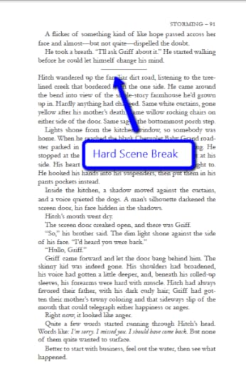 Hard Scene Break in Storming by K.M. Weiland