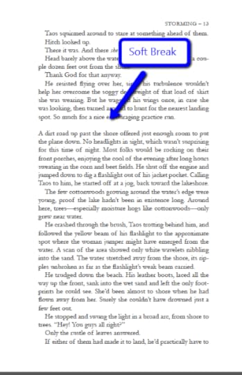 Soft Scene Break in Storming by K.M. Weiland