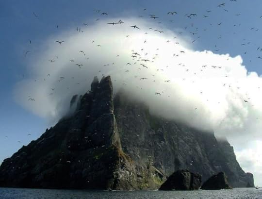 Gannets over St Kilda by Jill Harden (BBC)