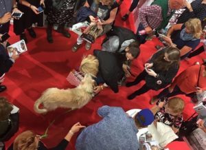 Hunden Arthur var en av mässans STORA stjärnor. Så otroligt fin.